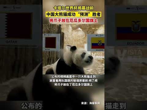 国米求购梅,西被拒,梅西忠诚巴,国际足联2026世界杯投注平台,2026世界杯盘口,世界杯投注指南,在线世界杯投注,国际足联赛事分析