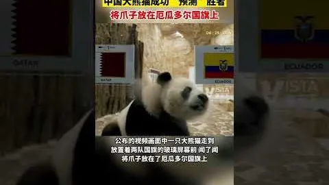 国米求购梅西被拒，梅西忠诚巴塞，预计回归纽维尔老巢