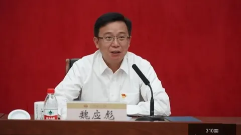 主队连胜势头强劲，310比分官网，，能否迎来关键胜利终极指南